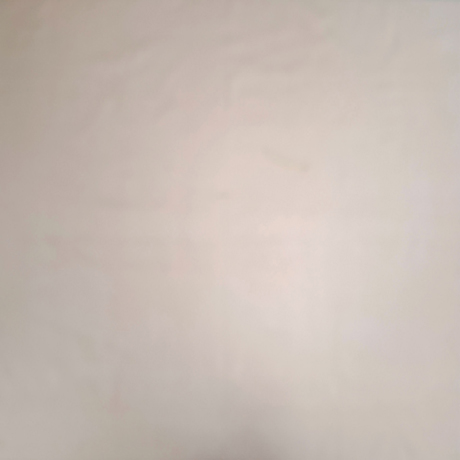 Feather                  